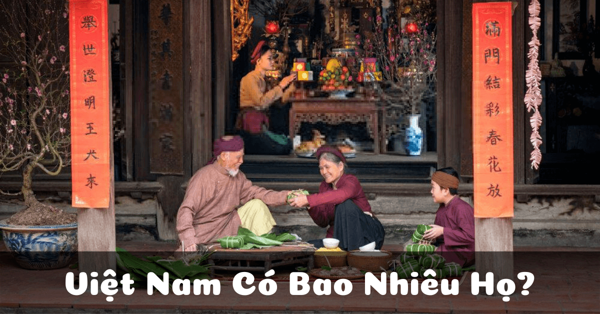 Danh sách Việt Nam có bao nhiêu họ? Gia phả các dòng họ Việt Nam