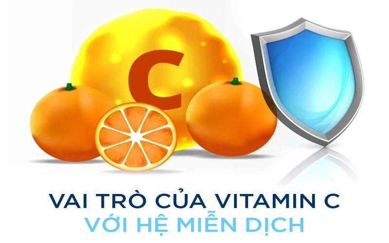 12 loi ich cua vitamin c va cach bo sung hieu qua