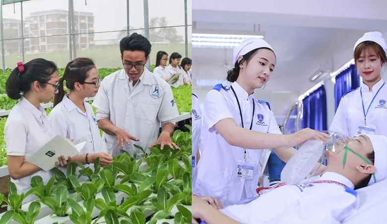 Khối B00 gồm những ngành nào