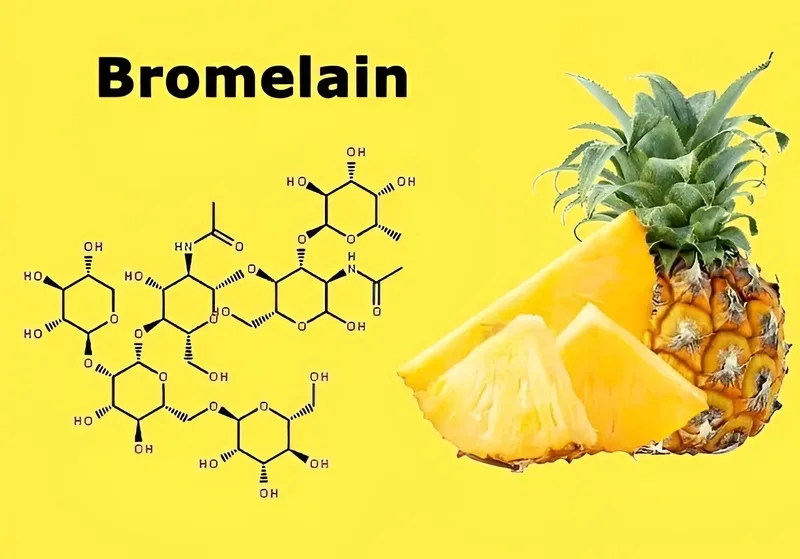 Bromelain trong dứa là enzyme có khả năng hỗ trợ quá trình phân giải protein trong thức ăn
