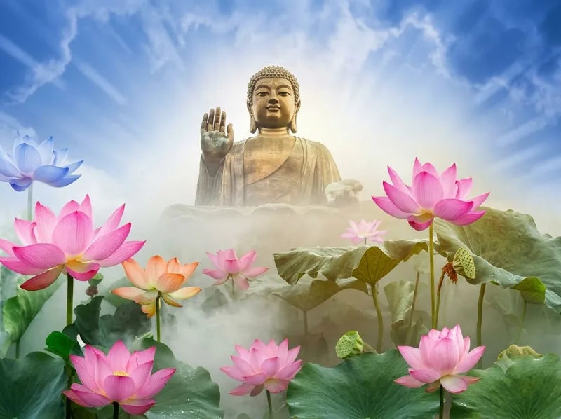 Sen hồng tượng trưng cho lòng từ bi, sự dịu dàng và bao dung.
