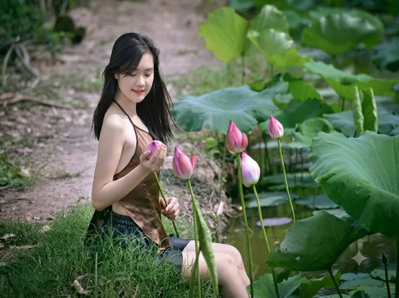 Sen hồng phù hợp để trang trí, thờ tự, tặng quà và chúc mừng.